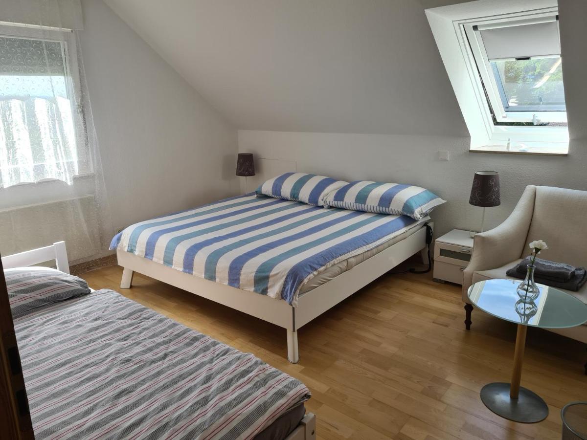 Appartement Paradiso Büsingen am Hochrhein Eksteriør billede