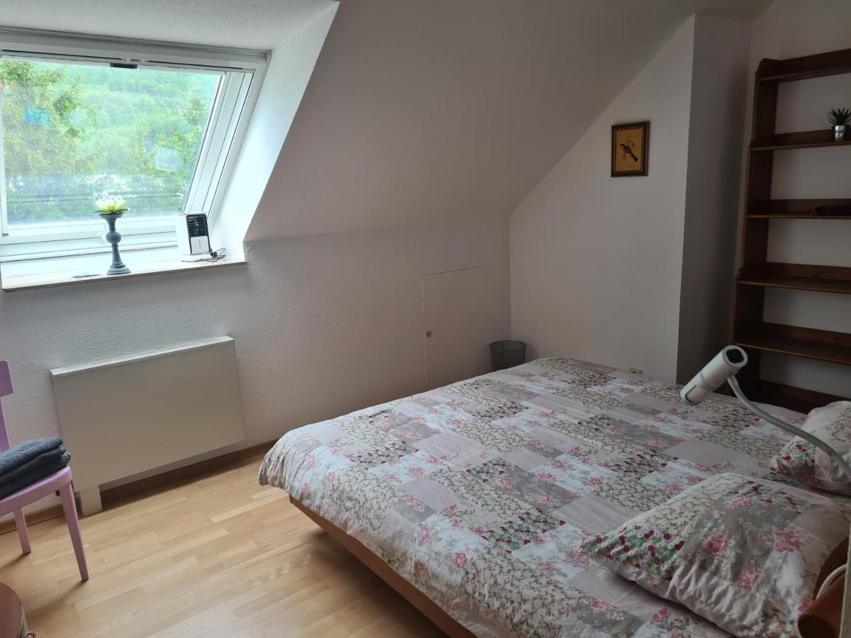 Appartement Paradiso Büsingen am Hochrhein Eksteriør billede