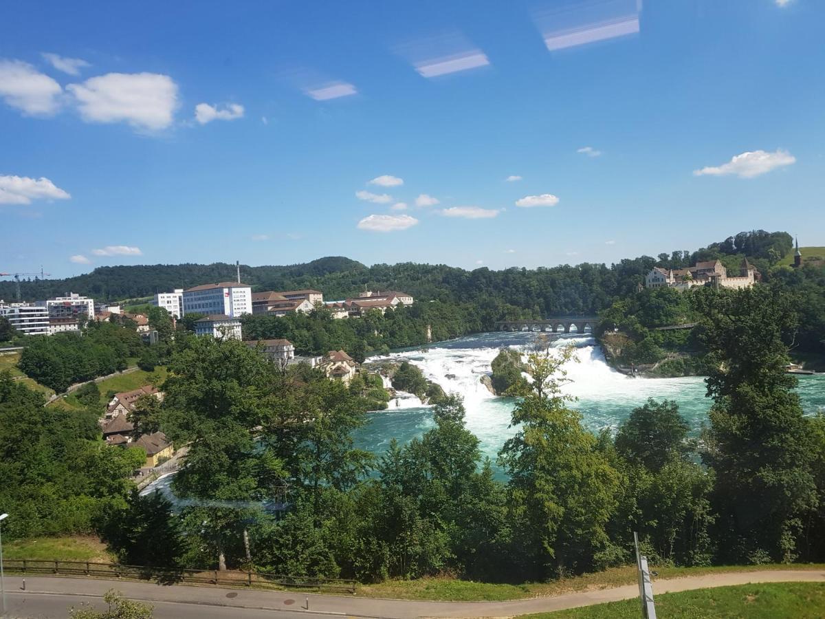 Appartement Paradiso Büsingen am Hochrhein Eksteriør billede